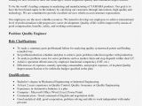 Quality Engineer Resume Model why is Supplier Quality Realty Executives Mi Invoice