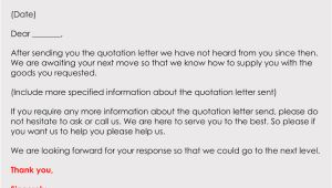 Quote Follow Up Email Template Follow Up after A Quote Email Free Samples Writing Tips
