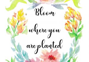 Quotes to Write On Flower Card Bloom where You are Planted Optimistic Gifts Instant
