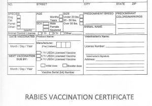 Rabies Vaccination Certificate Template Certificate Of Vaccination Template Download Rabies