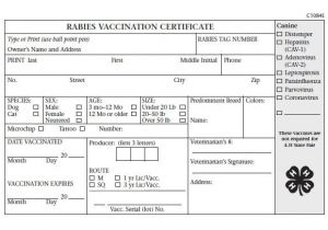 Rabies Vaccination Certificate Template Rabies Certificate Template Pdf Choice Image Certificate