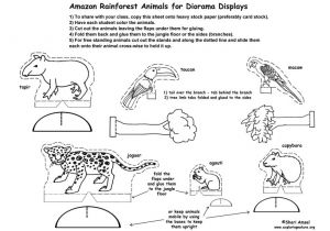 Rainforest Animal Templates Best Photos Of Rainforest Animal Template Printables