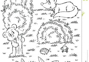 Rainforest Animal Templates forest Coloring Pages Learny Kids