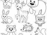 Rainforest Animal Templates forest Woods Page Background Coloring Pages