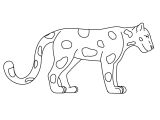 Rainforest Animal Templates Jaguar Animal Coloring Pages Realistic Coloring Pages