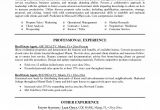 Real Estate Resumes Templates Real Estate Agent Resume