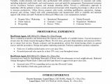 Real Estate Resumes Templates Real Estate Agent Resume