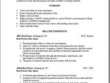 Real Estate Resumes Templates Real Estate Resume Whitneyport Daily Com