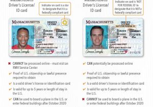Registration for the issuance Of Professional Identification Card Real Ids In Massachusetts You asked We Answered Wbur News