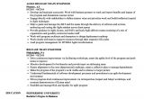 Release Train Engineer Resume Release Train Engineer Resume Samples Velvet Jobs