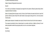 Resignation Announcement Email Template 21 Resignation Email Examples Doc Examples