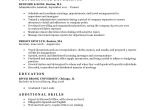 Resmue Templates Expert Preferred Resume Templates Resume Genius
