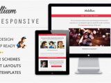 Responsive Email Template Example Mobillium Responsive Email Newsletter by Bedros