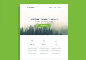 Responsive Email Template HTML Code Responsive HTML Email Template by Pixel Hint Dribbble