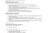 Resumè Template Expert Preferred Resume Templates Resume Genius