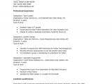 Resume Basic Knowledge Of Computer Computer Skills Resume Example Http Www Resumecareer