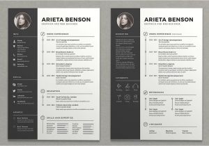 Resume Designs Templates 15 Resume Design Ideas Inspirations Templates How to