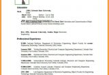 Resume Engineer Electronic 9 Electronic Cv Layout Dragon Fire Defense