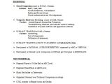 Resume Engineer Electronic Electronic Engineer Resume format