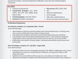 Resume Engineer Key Skills 20 Skills for Resumes Examples Included Resume Companion