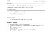 Resume for Bca Student 12 Cv Of Bca Student Letter Setup