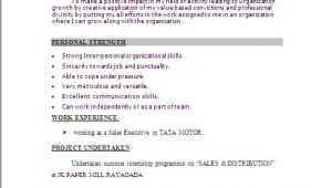Resume for Freshers In Word format Resume Sample In Word Document Mba Marketing Sales