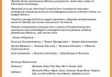 Resume for It Professional with Experience In Word format 5 Cv format Of Experience theorynpractice