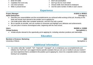 Resume for It Professional with Experience In Word format Experienced Resume Templates to Impress Any Employer