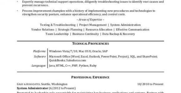 Resume for It Professional with Experience In Word format It Professional Resume Sample Monster Com