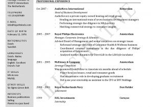 Resume for Job Application Download Job Application Cv Pdf Basic Job Application Templates