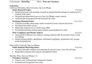 Resume for Job Application Job Applications Future Perfect