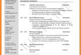 Resume for Job Application Pdf 5 Cv Sample for Job Application Pdf theorynpractice