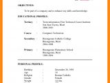 Resume for Job Application Pdf 8 Cv format Sample theorynpractice