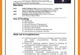 Resume for Job Interview Ms Word 6 Cv Pattern for Job theorynpractice