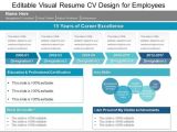 Resume for Job Interview Ppt Editable Visual Resume Cv Design for Employees