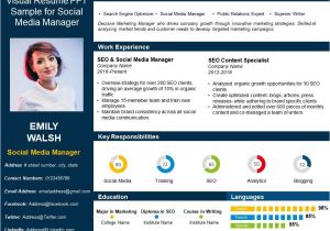 Resume for Job Interview Ppt Visual Resume Ppt Sample for social Media Manager