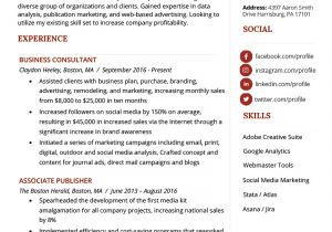 Resume for Sales and Marketing In Word format Marketing Resume Sample Writing Tips Resume Genius