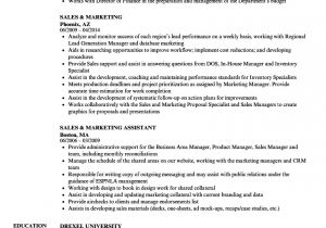 Resume for Sales and Marketing In Word format Sales Marketing Resume Samples Velvet Jobs