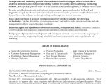 Resume for Sales and Marketing In Word format Sample Sales Manager Resume 9 Examples In Word Pdf
