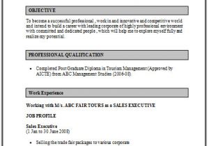 Resume for tourism Student Over 10000 Cv and Resume Samples with Free Download Cv