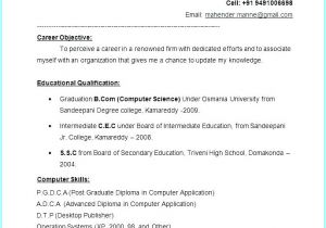 Resume format Download In Ms Word 2007 10 Fresher Resumes Free Download Invoice Templatez