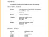 Resume format Examples for Job 11 Cv formats Samples for Job theorynpractice