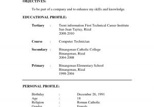 Resume format Examples for Job Application Sample Of Resume format for Job Application 2 Resume