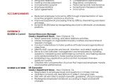Resume format Examples for Job Free Resume Examples by Industry Job Title Livecareer
