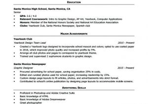 Resume format for Abroad Job Work Resume format Airexpresscarrier Com
