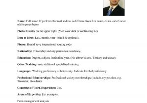 Resume format for Applying Job In Usa Curriculum Vitae Google Search Cv 39 S