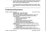 Resume format for Applying Job In Usa Cv Type Us