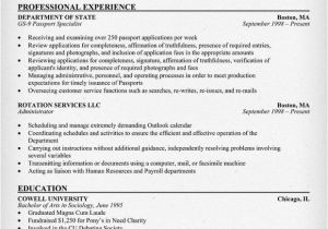 Resume format for Applying Job In Usa Government Jobs Resume Example Resumecompanion Com