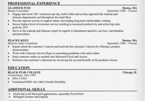 Resume format for Beautician Job Beauty Consultant Resume Resumecompanion Com Job