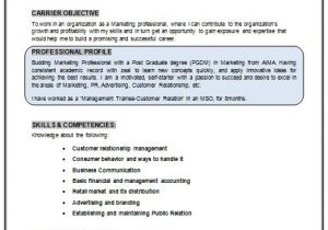 Resume format for Ca Fresher Professional Curriculum Vitae Resume Template Sample